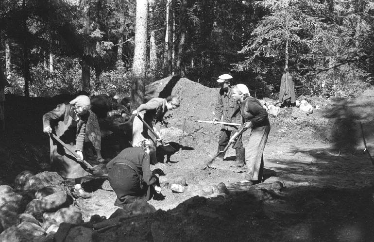 Prace archeologiczne prowadzone na cmentarzysku jawieskim w 1955 r.