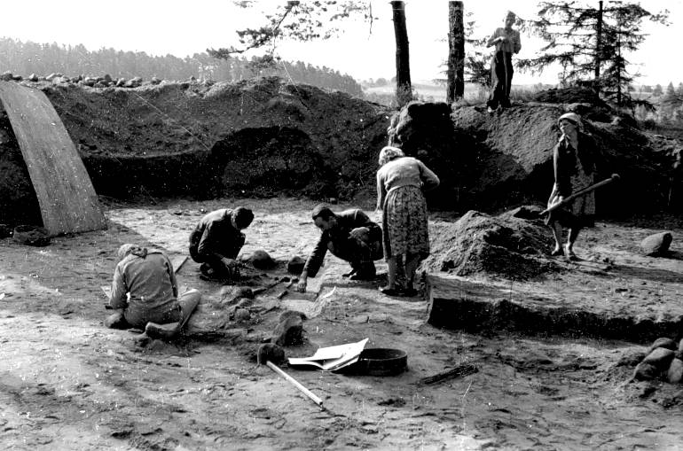 Prace archeologiczne prowadzone na cmentarzysku jawieskim w 1955 r.