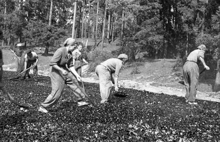 Budowa drogi Suwaki - Szypliszki, 1955 r.