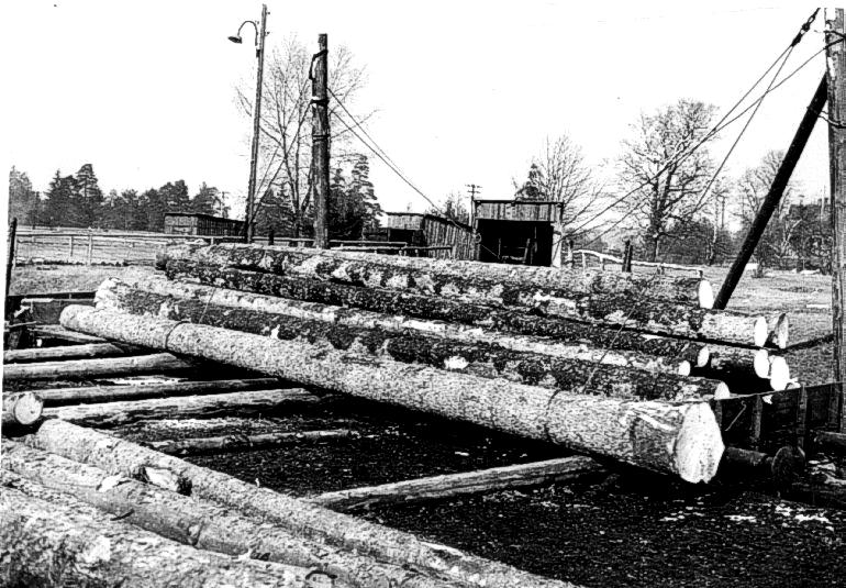Tartak w Suwakach ul. 1-go Maja (pomidzy 1-go Maja a Utrat) 1954 - 1955 r.