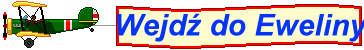 Galeria, Złote Myśli, ciekawe ankiety i ...